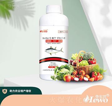 �~(y��)���ס��׶�������-�A����