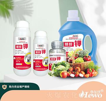 �Ǵ��-�A����