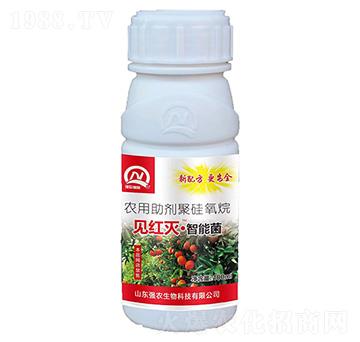 Ҋ�t�硤���ܾ�-���r����