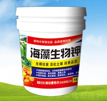 ���������-���ؠ��r��