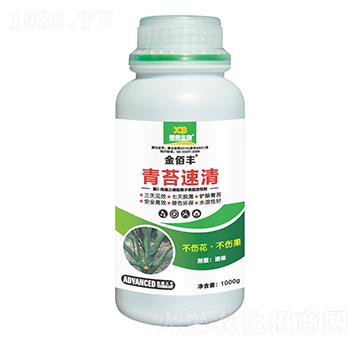 ��̦����-����S-�ذ�����