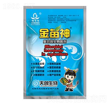 ��(f��)��΢�������-������-�섓(chu��ng)����