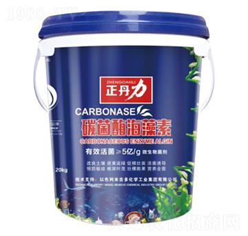 ̼��ø������-������-���P�