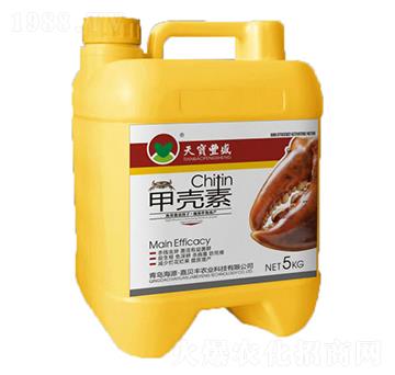 �ך���-�쌚�Sʢ-���P�