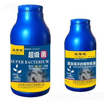 ������-��ĸ��-׿������