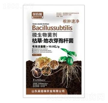 �ݲݡ�����ѿ�ߗU��-���[�ك�-�sҫ�r(n��ng)�I(y��)