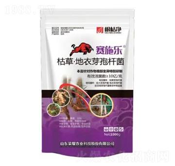 �ݲݡ�����ѿ�ߗU��-���݃�-�sҫ�r(n��ng)�I(y��)