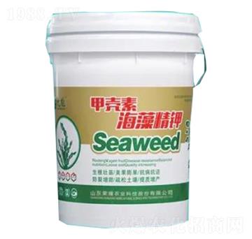 �ך��غ��徫�-�sҫ�r(n��ng)�I(y��)