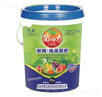 ̼ø���������-�sҫ�r(n��ng)�I(y��)