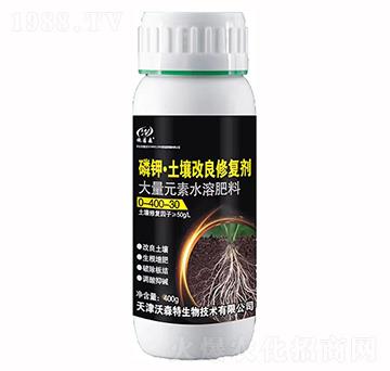 ��⛡����������ޏ�(f��)��-��ɭ��