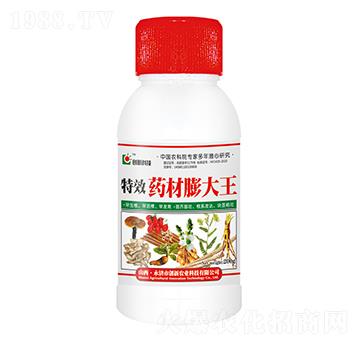 200gˎ�������-��(chu��ng)�¿Ƽ�
