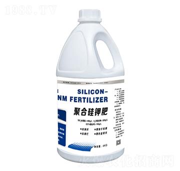 �ۺϹ�⛷�-����һ̖(h��o)-���r(n��ng)��