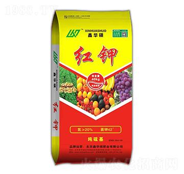 �t�-���A�T