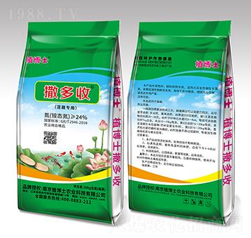 ɏź����������-ֲ��ʿ