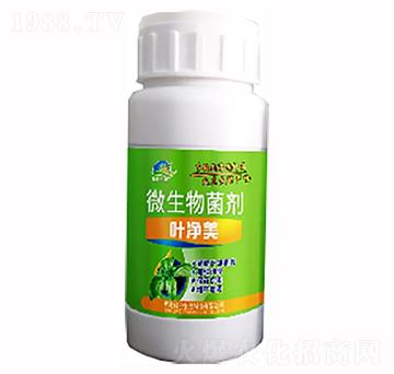 微生物菌劑-葉凈美-和協(xié)生物