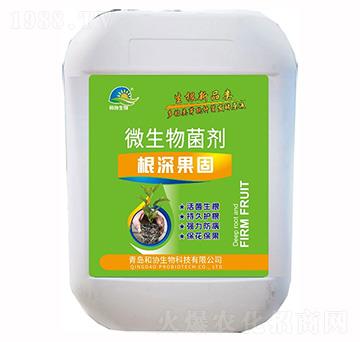 ΢�������-�������-�ͅf(xi��)����