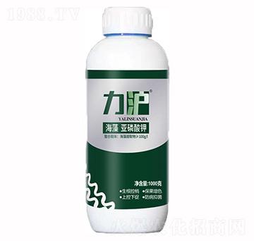 ���偆�����-��������