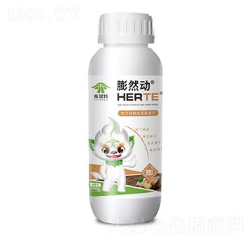 ���K���K�o�����-��Ȼ��(d��ng)-�̠���