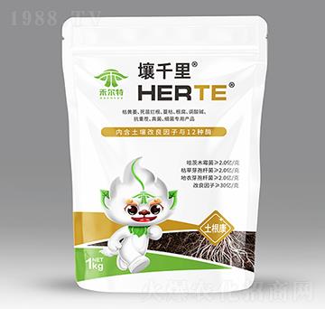 ������-��ǧ��-�̠���