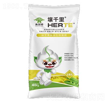 �{����ø΢�������-��ǧ��-�̠���