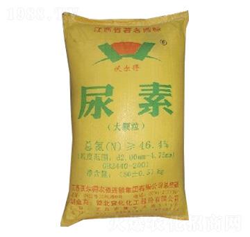 ���w������-�֠���