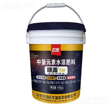 ���w5�a(b��)����Ԫ��ˮ�ܷ���-������