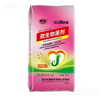 ΢�������-����-�̽�����