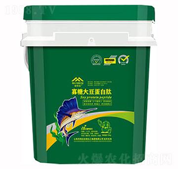 ���Ǵ󶹵�����-�����S