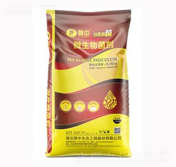 5�|΢�������-��˹���r�I(y��)