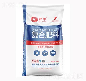 ���������ͺϷ���26-13-8-��˹���r�I(y��)