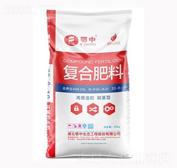 ���������ͺϷ���22-8-10-��˹���r�I(y��)