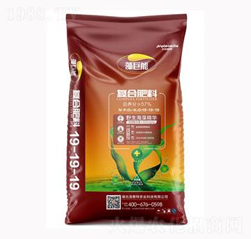 ����܏ͺϷ���19-19-19-��˹���r�I(y��)