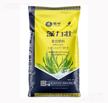 �����яͺϷ���17-23-6-��˹���r�I(y��)