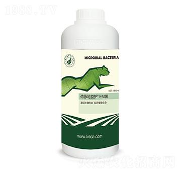 EM��-���}�����o(h��)-�G���_(d��)