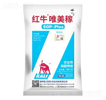 �tţΨ����(�w����)-����}�r(n��ng)�I(y��)