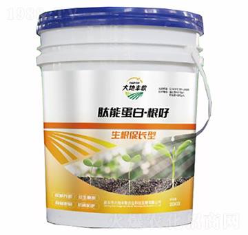 ���ܵ��ס�����-����S��