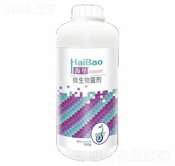 1000g΢�������-����-������