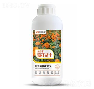 �f�۾մ߻����-�ջ���(zh��n)ʿ-����S-�ذ�����