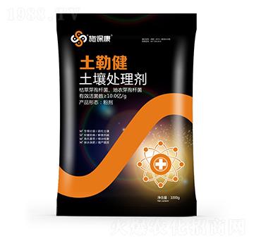 ����̎�턩-���ս�-ʩ����