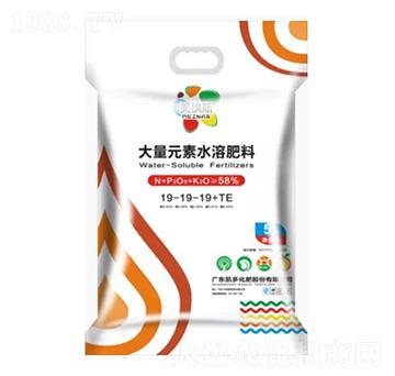 ����Ԫ��ˮ�ܷ���19-19-19+TE-���{˹-�P�໯��