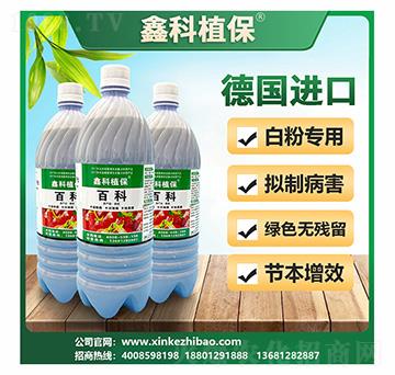 �ٿư׷۲�����-�ο�ֲ��