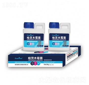 ��������������ù���ľù��-���v����