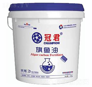 ���~��-�ھ�-ס�̺긣