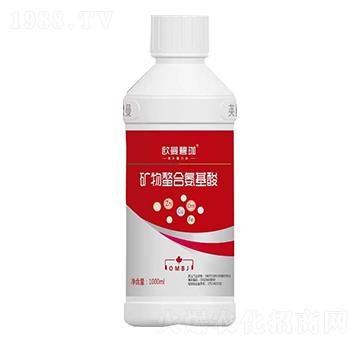 �V�����ϰ�����-�W��