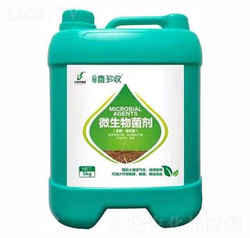 5kg΢�������-ϲ����-��(��i)�r(n��ng)ֲ��