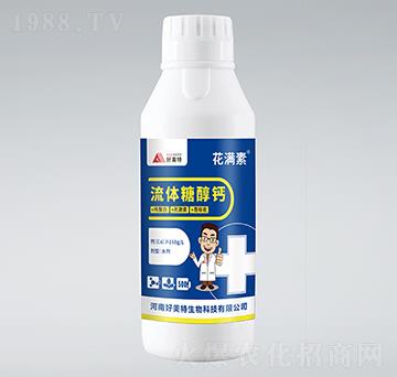 ���w�Ǵ��}-���M��-������