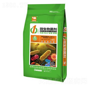 1̖΢�������-����-���{(l��n)����