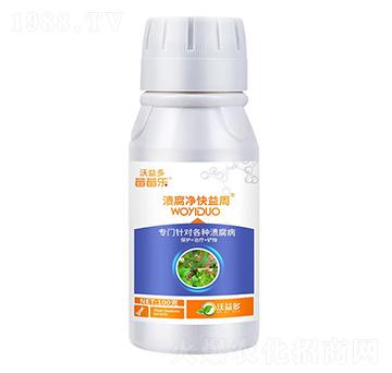 ������������-ݮݮ��-�����