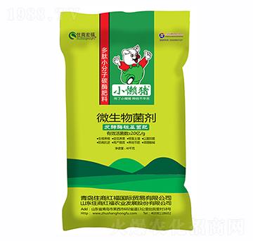 ΢�������-С���i-ס�̇�(gu��)�H