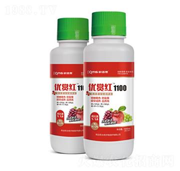 ��(y��u)�p�t1100-�W�~˼�r(n��ng)�I(y��)